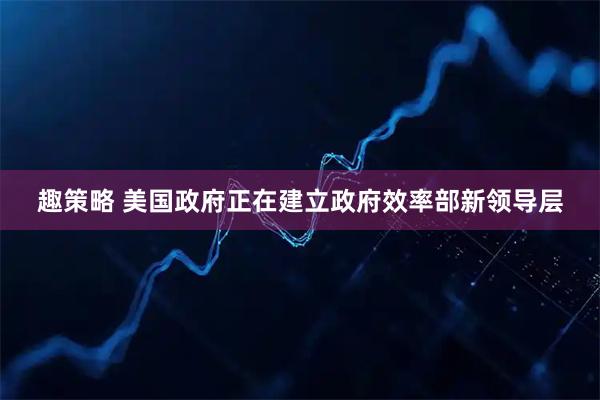 趣策略 美国政府正在建立政府效率部新领导层