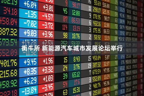 衡牛所 新能源汽车城市发展论坛举行