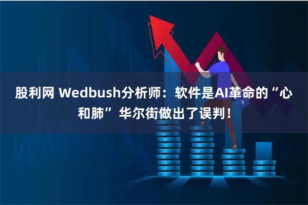 股利网 Wedbush分析师：软件是AI革命的“心和肺” 华尔街做出了误判！