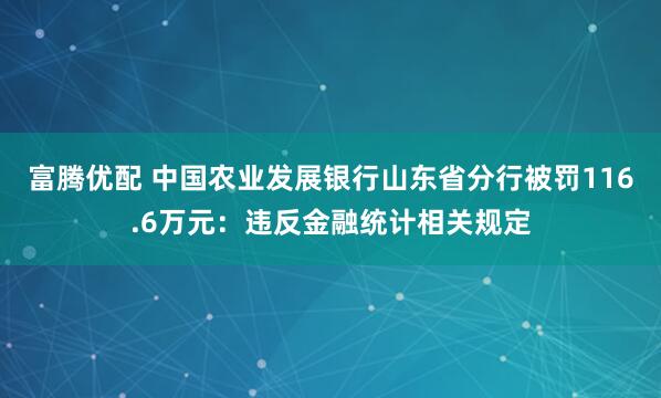 富腾优配 中国农业发展银行山东省分行被罚116.6万元：违反金融统计相关规定