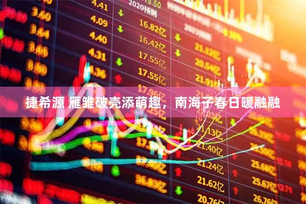 捷希源 雁雏破壳添萌趣，南海子春日暖融融